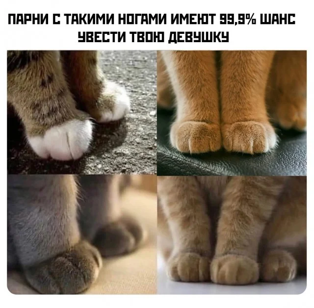 Держите свежие приколы