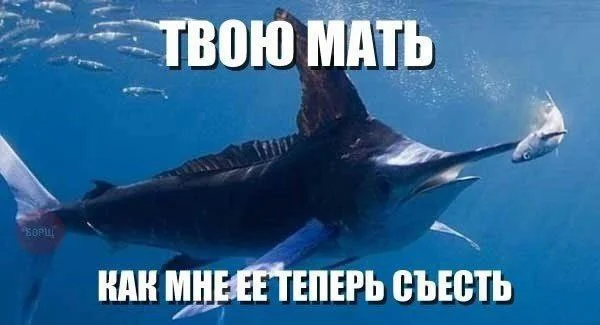 Нестандартный юмор #448