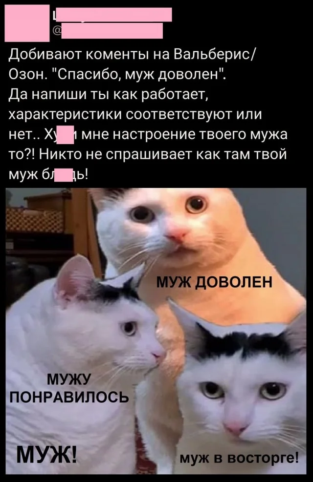 Свежак подъехал: Приколы