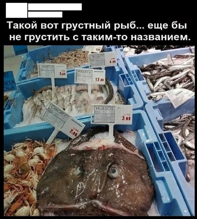 Актуальные мемы