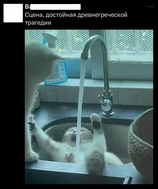 Ура! Картинки!