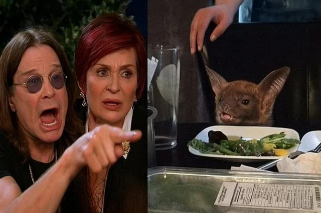 Музыкальные мемы для настоящих меломанов Музыкальные мемы для настоящих меломанов