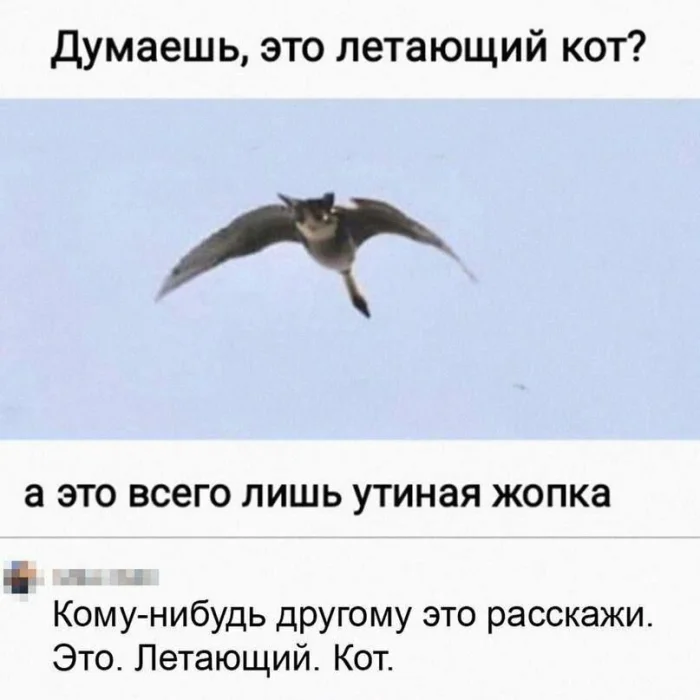 Нестандартный юмор #442