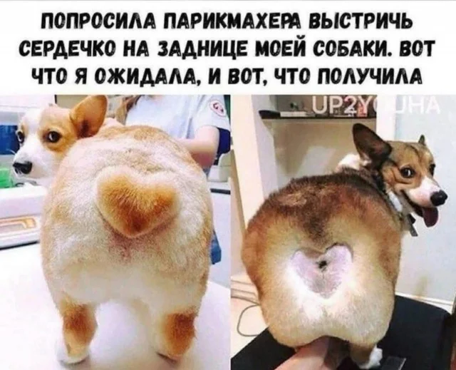 Деградируем на 100%