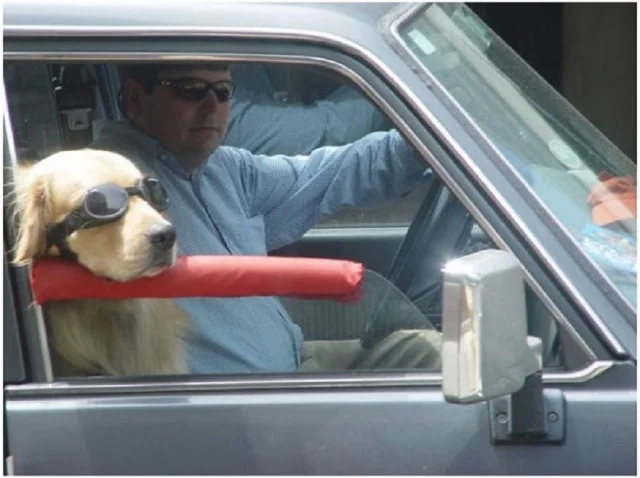 Приколы подъехали