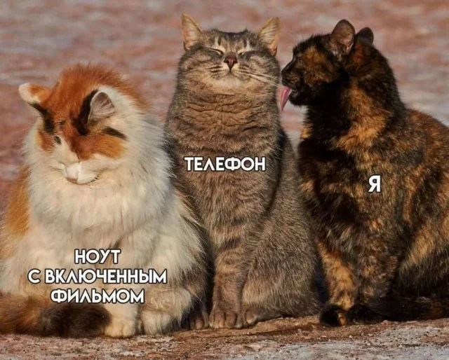 Смешные скрины из соцсетей #99 Смешные скрины из соцсетей #99