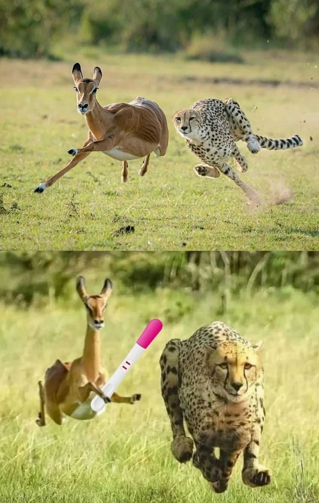 Приколы подъехали