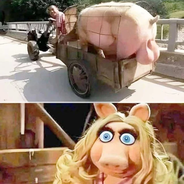 Юмор для супер взрослых