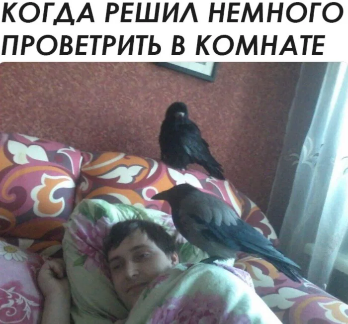 Нестандартный юмор #455 Нестандартный юмор #455