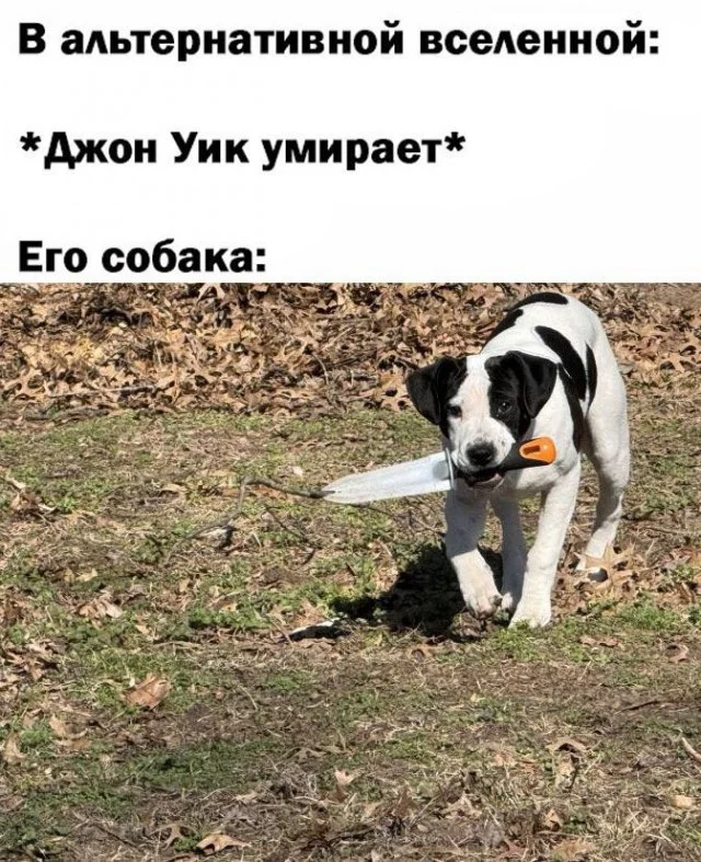 Ещё немного картинок