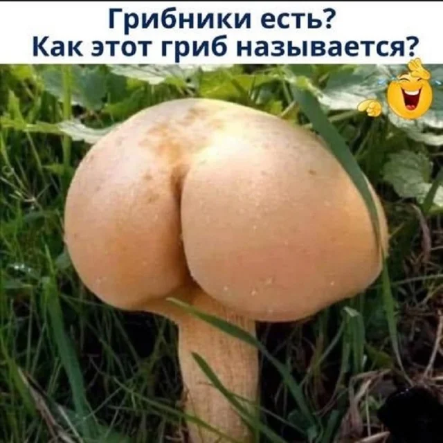 Картинки по кайфу!