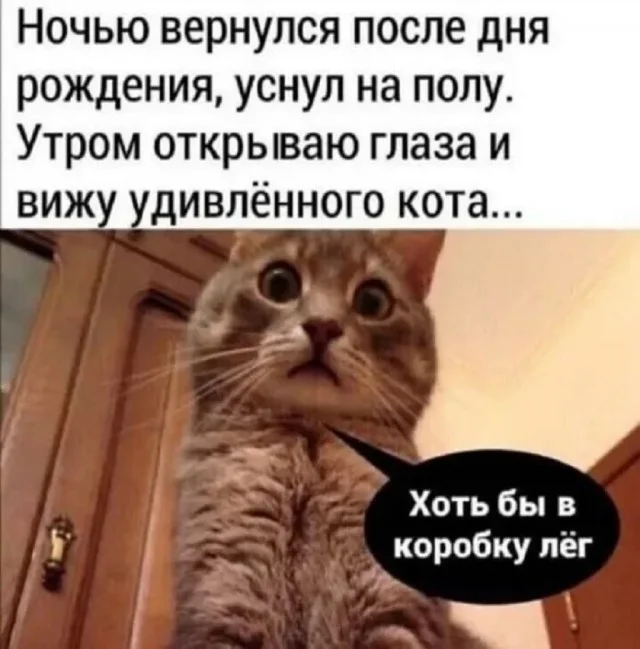 Приколы подъехали