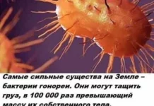 Нестандартный юмор #454