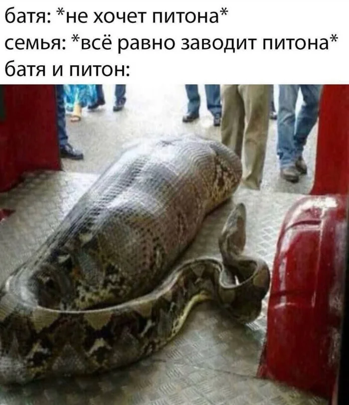 Нестандартный юмор #461 Нестандартный юмор #461