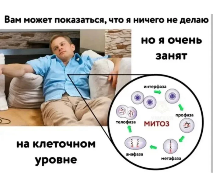 Нестандартный юмор #458 Нестандартный юмор #458