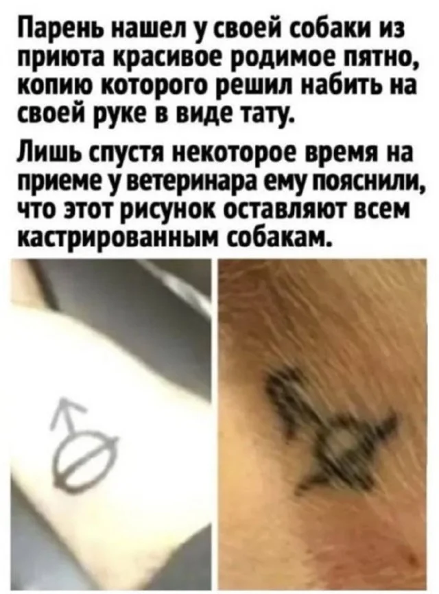 Вау! Свежие картинки!