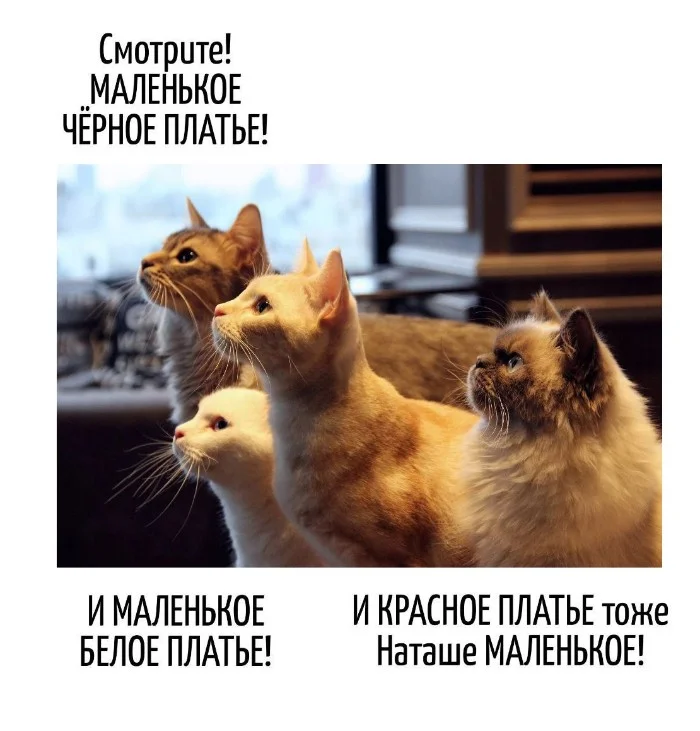 Игра слов #105