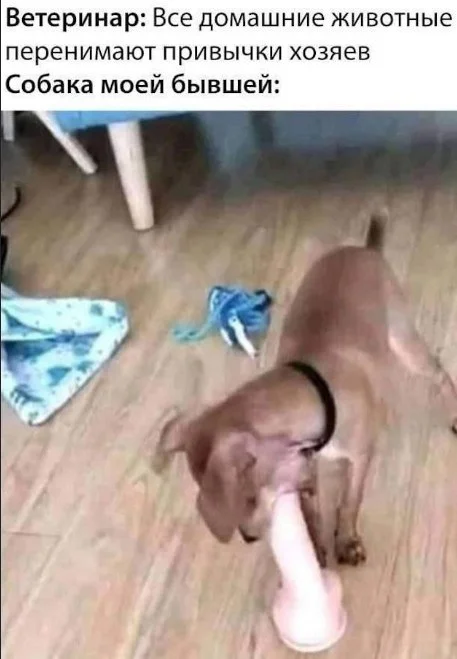 Нестандартный юмор #451 Нестандартный юмор #451