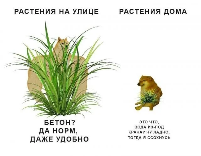 Смешные скрины из соцсетей #97