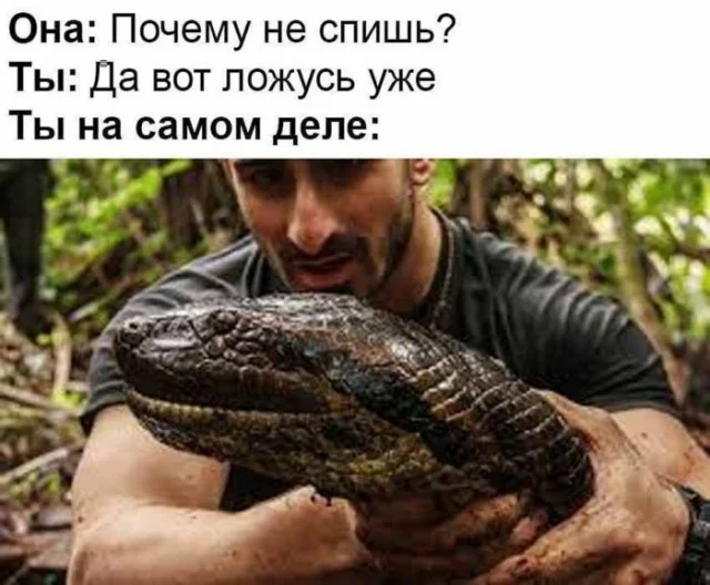 Деградируем по полной