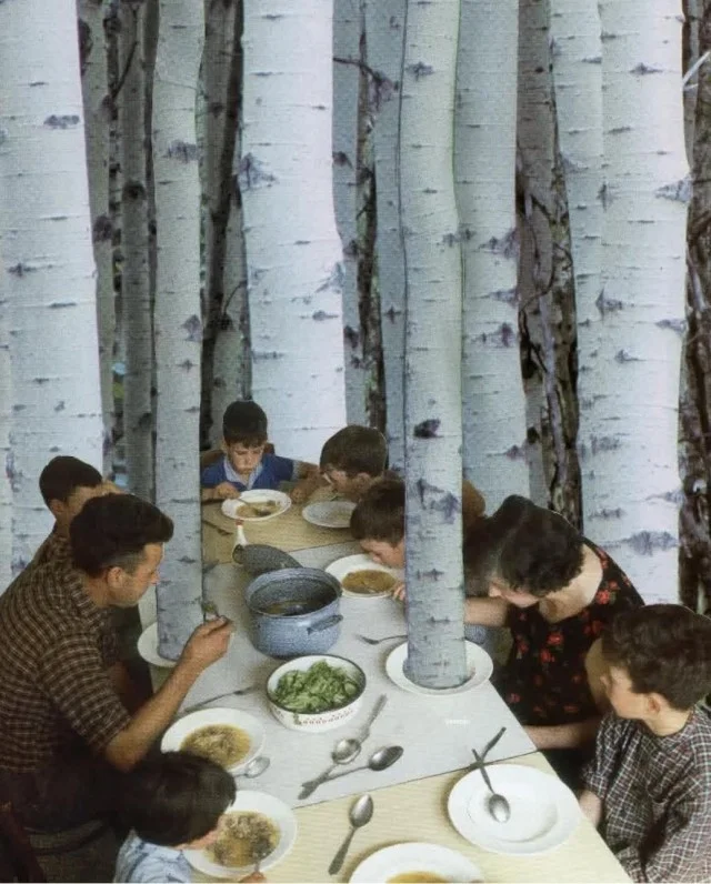 Прикольные картиночки!