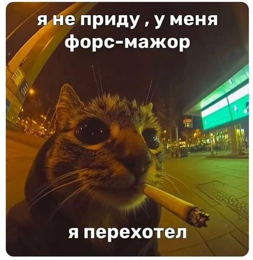 Во-первых картинки!