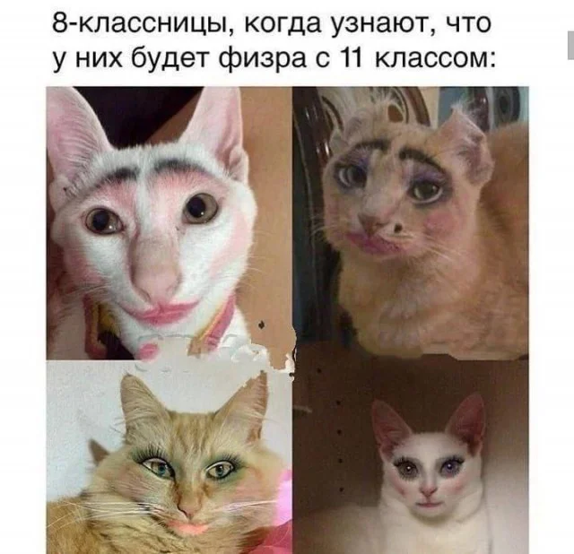 Нереально весело!