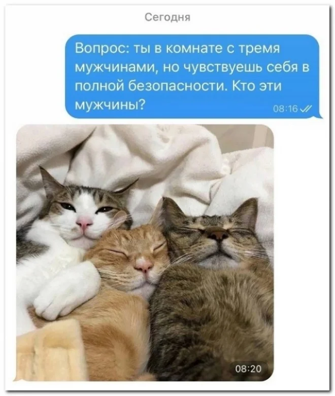 Юморочек на любителя
