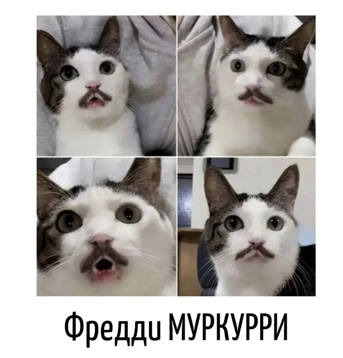 Игра слов #106 Игра слов #106