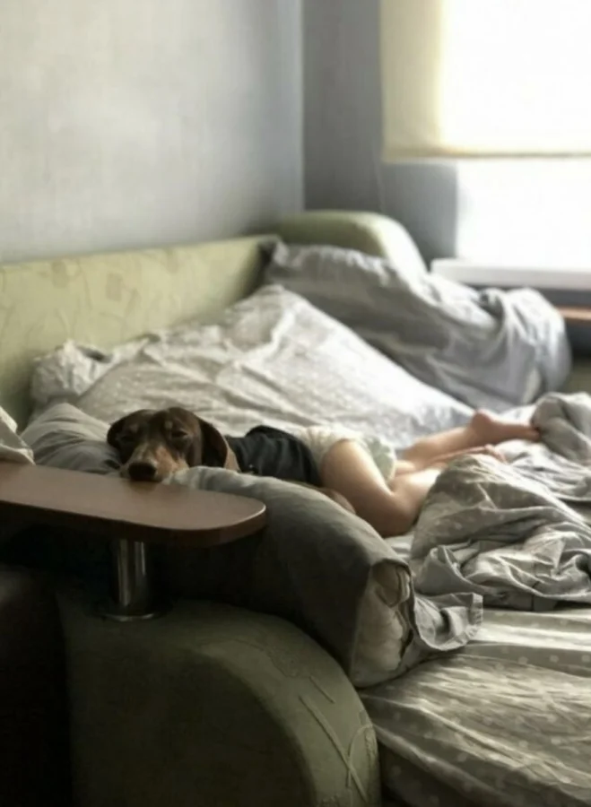 22 фото-иллюзии, которые обманут ваш взгляд 22 фото-иллюзии, которые обманут ваш взгляд