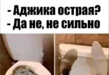 Нестандартный юмор #449