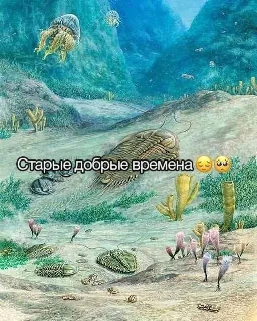 Нестандартный юмор #444 Нестандартный юмор #444