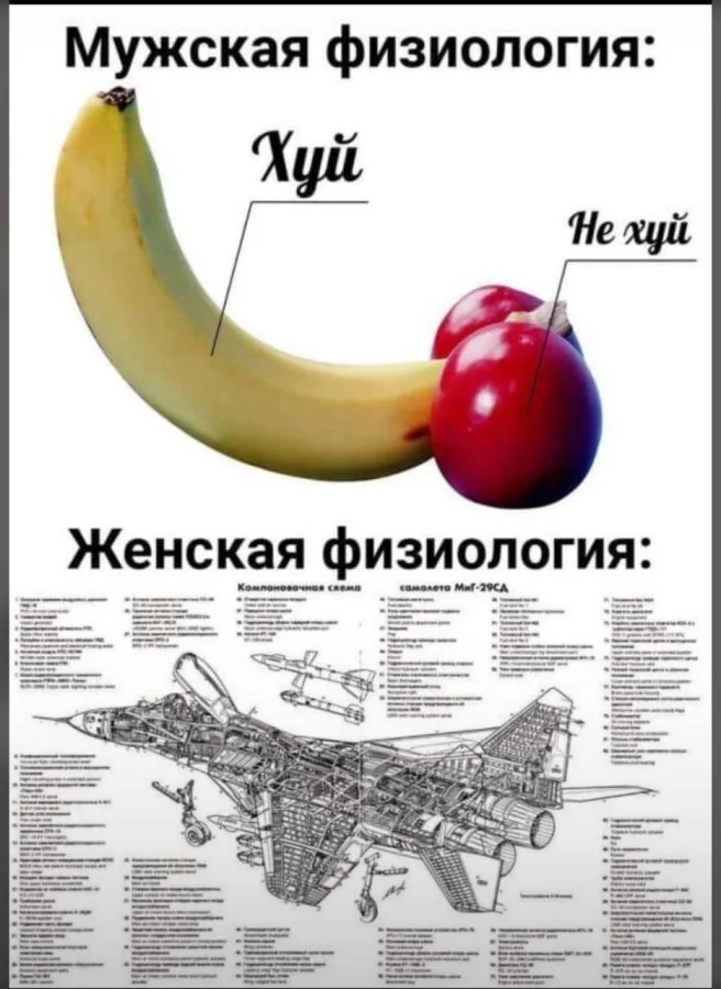 Нестандартный юмор #463 Нестандартный юмор #463