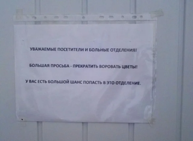 Вау! Свежие картинки!