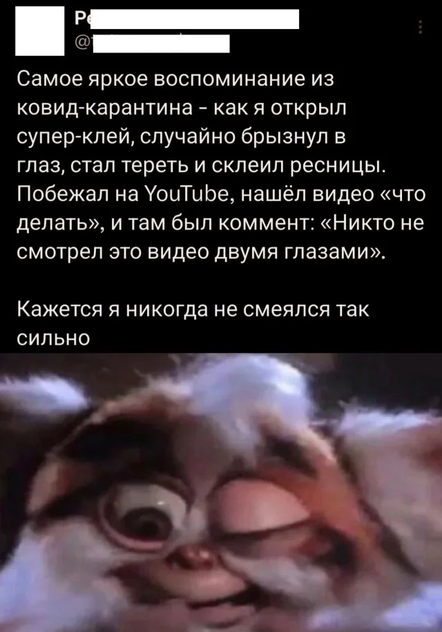 Приколы подъехали