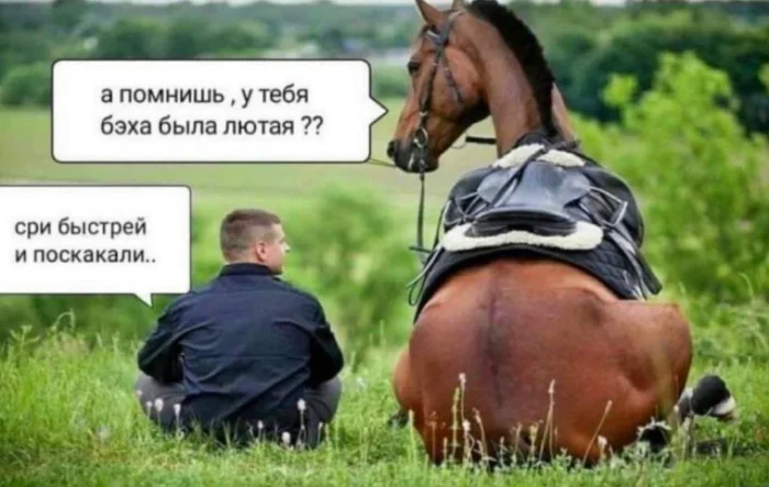 Нестандартный юмор #461 Нестандартный юмор #461