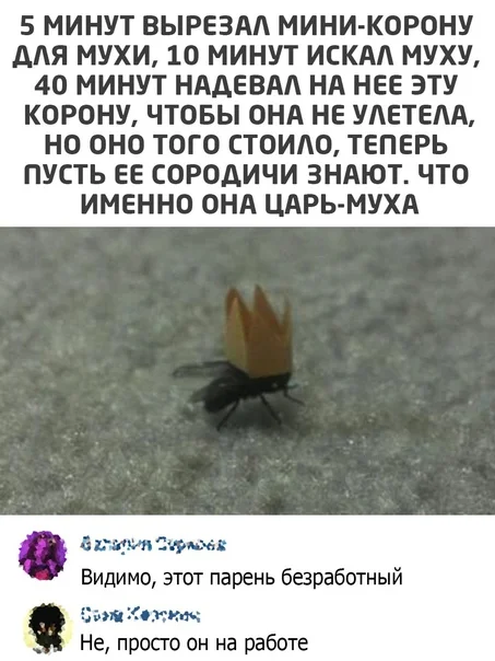 Дегра-картинки