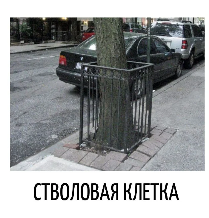 Игра слов – каламбуры, словесный юмор и прикольные картинки #108 Игра слов – каламбуры, словесный юмор и прикольные картинки #108