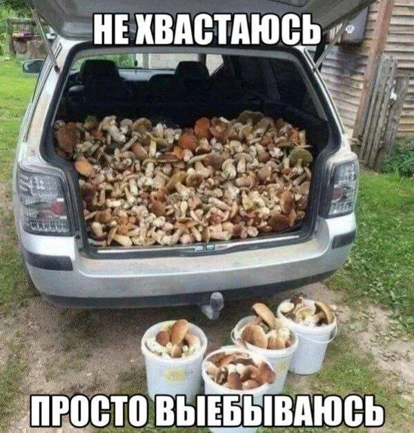 Нестандартный юмор #455 Нестандартный юмор #455