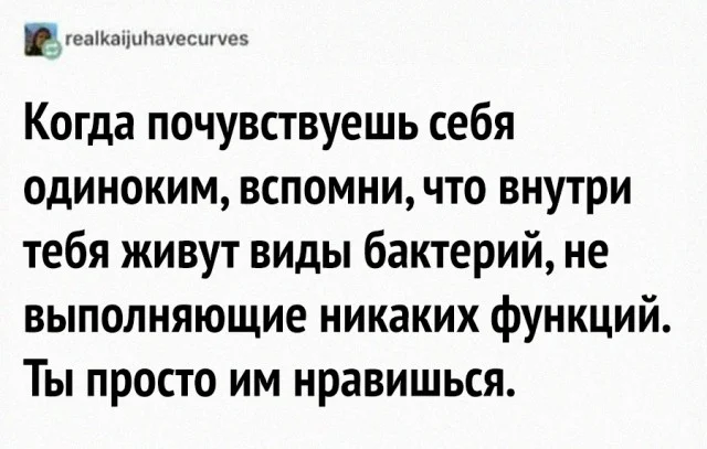 Деградируем по полной