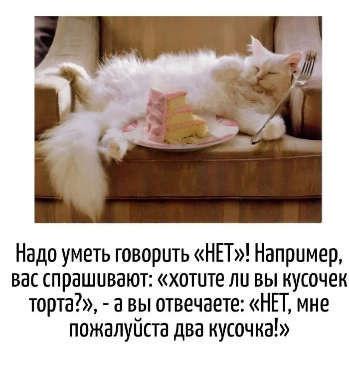 Игра слов – каламбуры, словесный юмор и прикольные картинки #109 Игра слов – каламбуры, словесный юмор и прикольные картинки #109