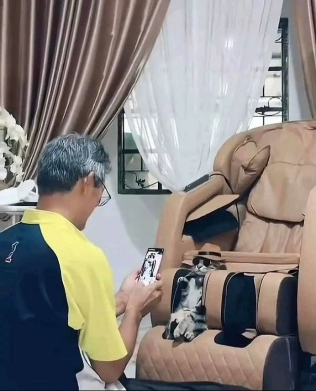 Хаха! Деградация!