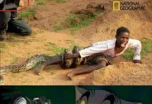 Нестандартный юмор #445