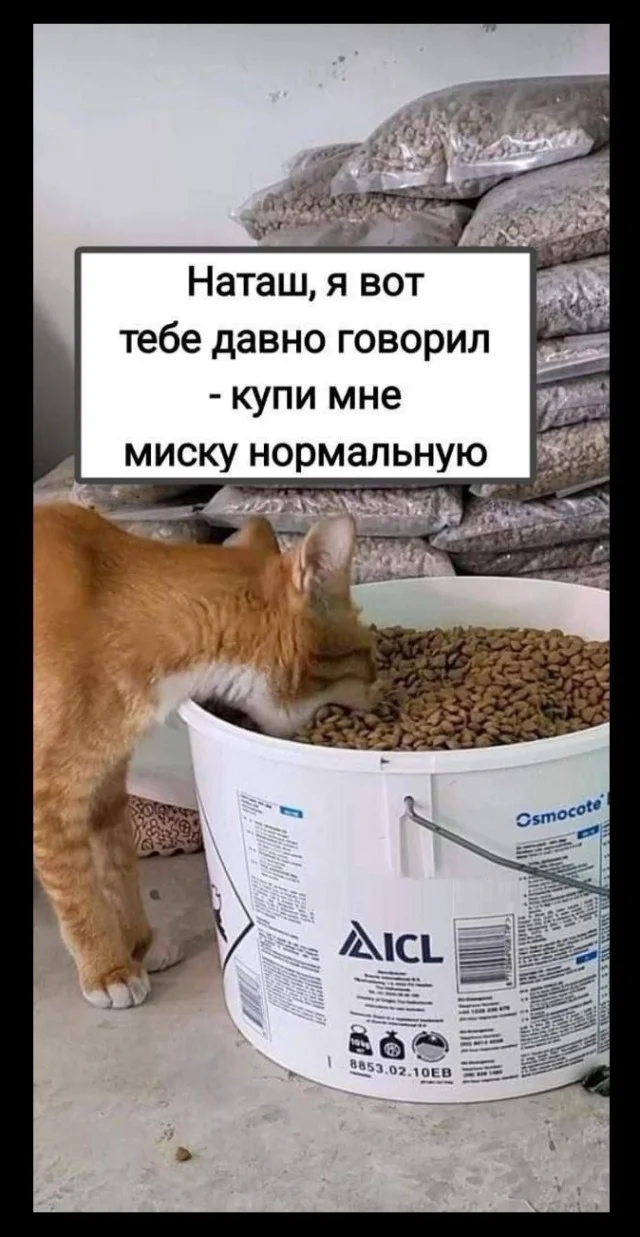 Актуалочка: Прикольные картинки