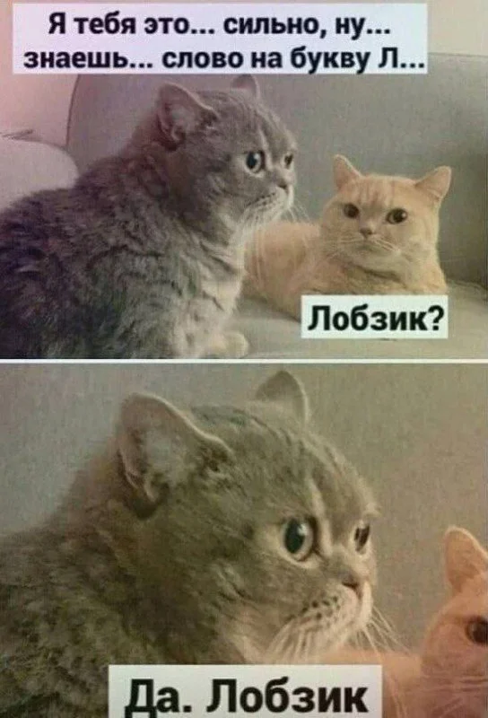 Классные и веселые картинки!