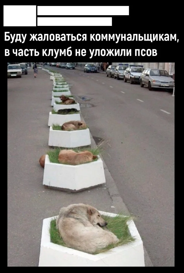 Вау! Свежие картинки!