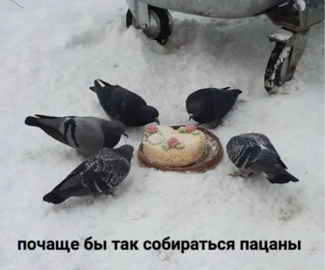 Деградируем на 100%