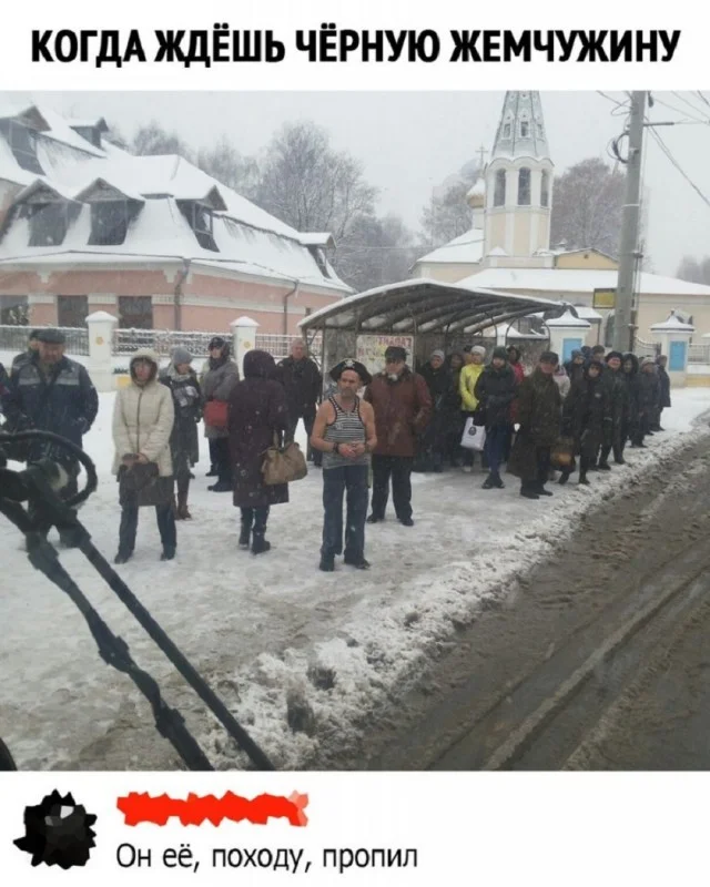 Вау! Свежие картинки!