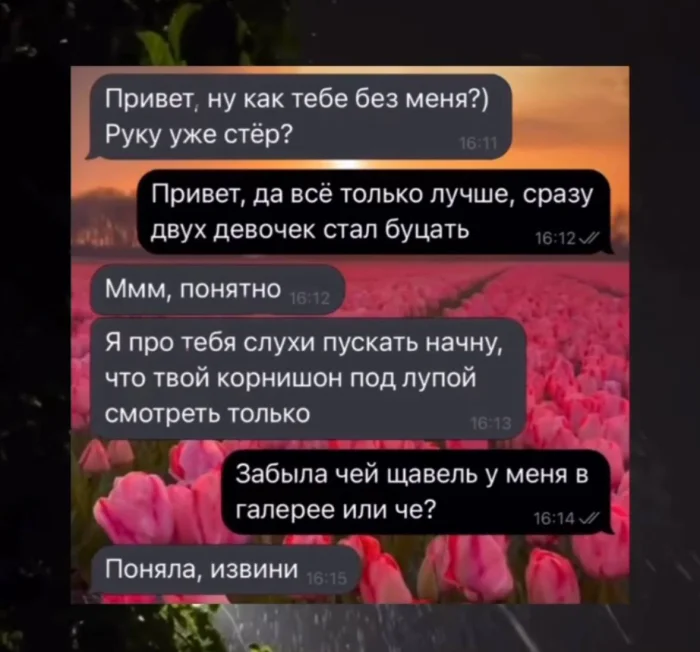 Нестандартный юмор #448