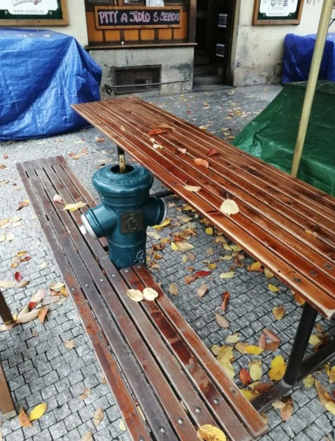 20 снимков, показывающих людей, игнорирующих правила и гармонию 20 снимков, показывающих людей, игнорирующих правила и гармонию